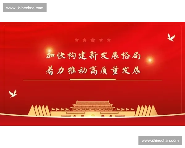 以整体推进为核心推动力实现全面高质量发展目标的路径与策略