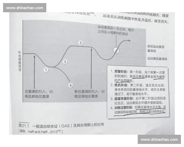 基于周期训练理念的综合体能提升与专项能力发展实践路径研究策略