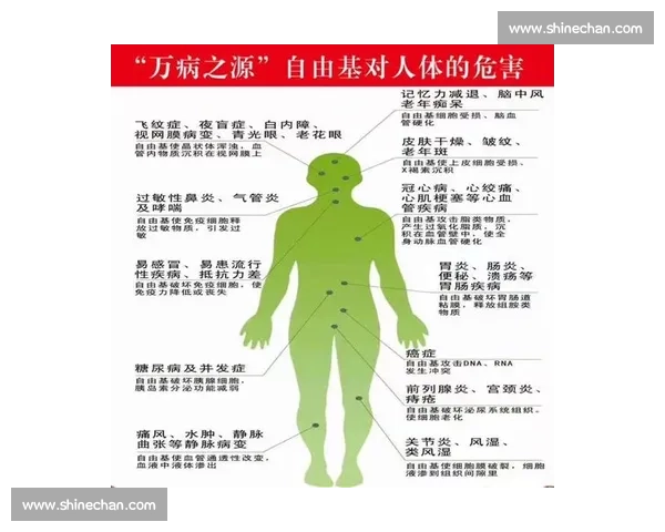 基于全面指标的体育健康状况评估与优化研究